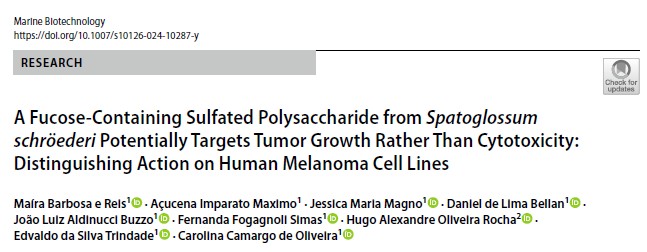 Check ou new publication!