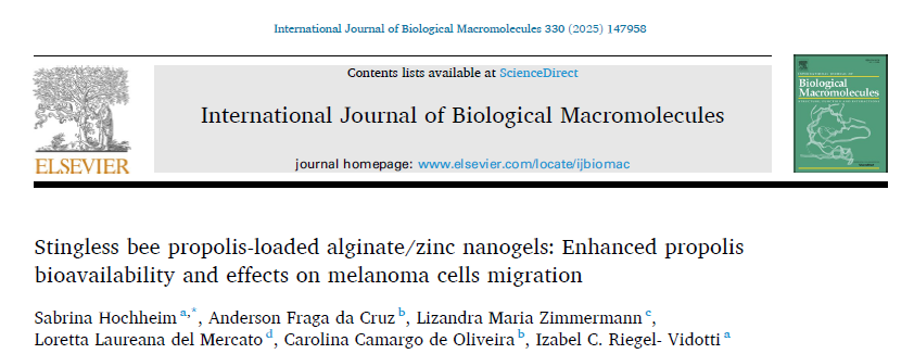 I am thrilled to share another work in collaboration with Dr Loretta del Mercato, from CNRNanotec.